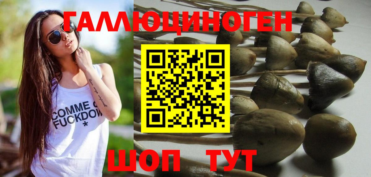 где купить   Вход с VPN  Кыштым  Галлюциногенные грибы мухоморы  Галлюциногенные грибы Magic Shrooms 